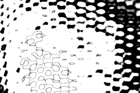 Abstract background. Monochrome texture. Image includes a effect the black and white tones.