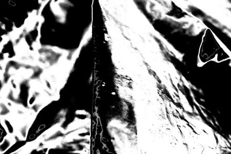 Abstract background. Monochrome texture. Image includes a effect the black and white tones.