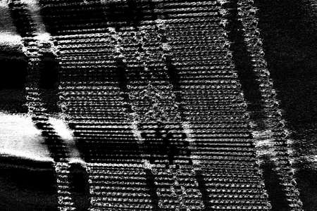Abstract background. Monochrome texture. Image includes a effect the black and white tones.