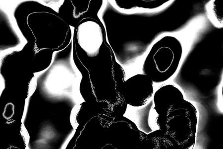 Abstract background. Monochrome texture. Image includes a effect the black and white tones.