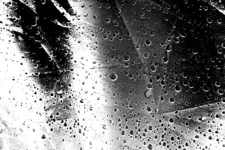 Abstract background. Monochrome texture. Image includes a effect the black and white tones.