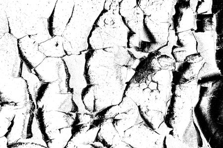 Abstract background. Monochrome texture. Image includes a effect the black and white tones.