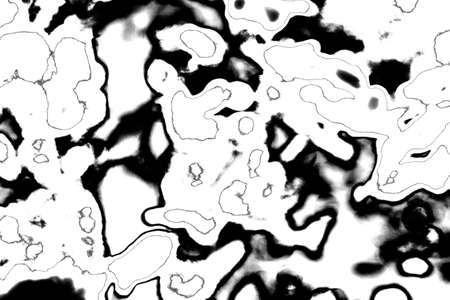 Abstract background. Monochrome texture. Image includes a effect the black and white tones.の写真素材