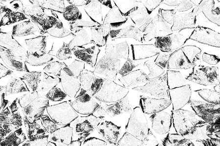 Abstract background. Monochrome texture. Image includes a effect the black and white tones.