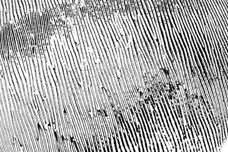 Abstract background. Monochrome texture. Image includes a effect the black and white tones.の写真素材