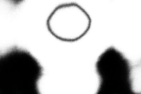 Abstract background. Monochrome texture. Image includes a effect the black and white tones.