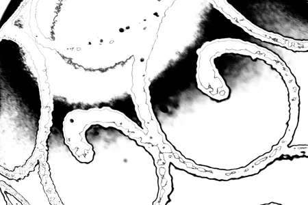 Abstract background. Monochrome texture. Image includes a effect the black and white tones.