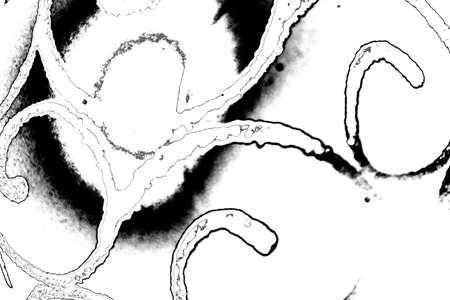 Abstract background. Monochrome texture. Image includes a effect the black and white tones.
