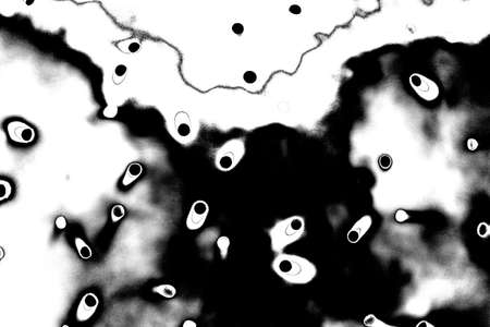Abstract background. Monochrome texture. Image includes a effect the black and white tones.