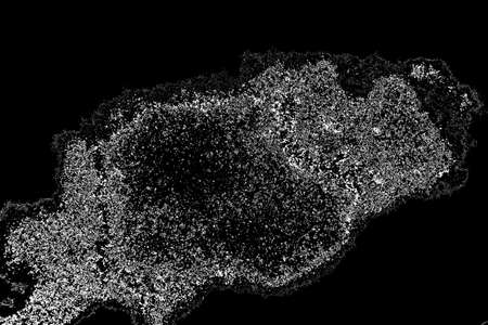 Abstract background. Monochrome texture. Image includes a effect the black and white tones.
