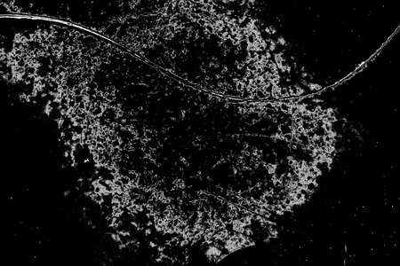 Abstract background. Monochrome texture. Image includes a effect the black and white tones.