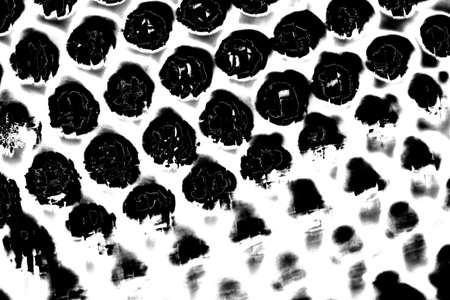 Abstract background. Monochrome texture. Image includes a effect the black and white tones.の写真素材