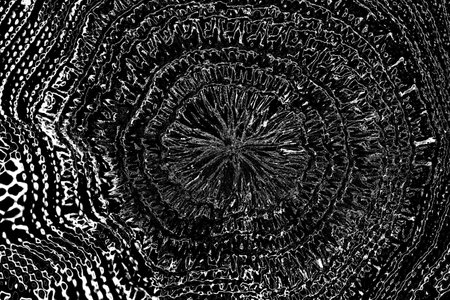 Abstract background. Monochrome texture. Image includes a effect the black and white tones.の写真素材