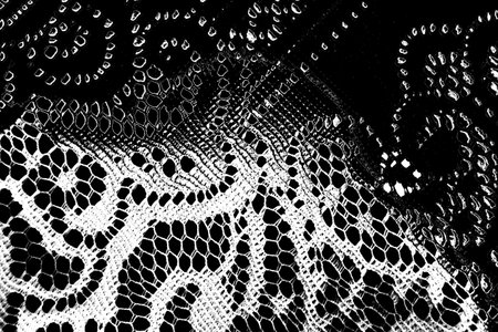 Abstract background. Monochrome texture. Image includes a effect the black and white tones.の写真素材