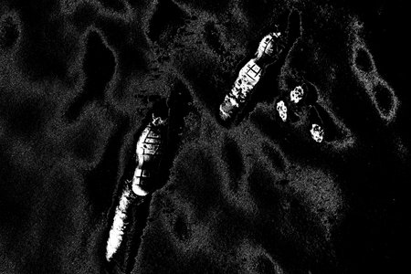 Abstract background. Monochrome texture. Image includes a effect the black and white tones.の写真素材