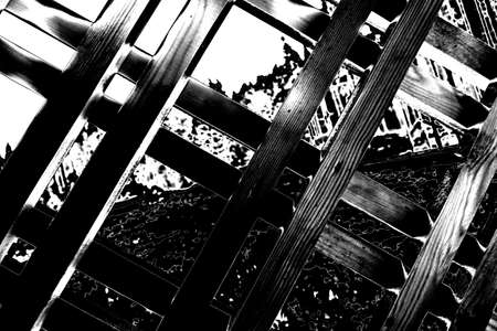 Abstract background. Monochrome texture. Image includes a effect the black and white tones.