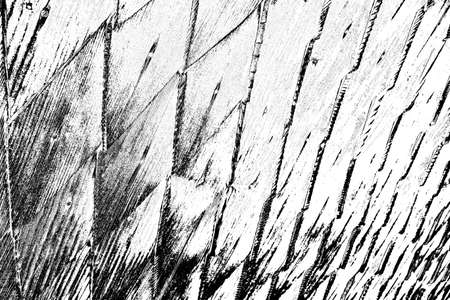 Abstract background. Monochrome texture. Image includes a effect the black and white tones.