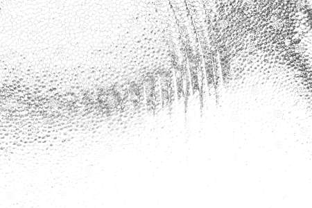 Abstract background. Monochrome texture. Image includes a effect the black and white tones.
