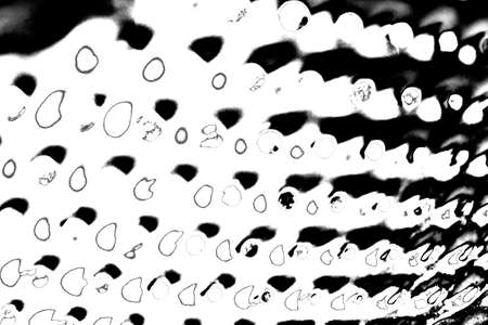 Abstract background. Monochrome texture. Image includes a effect the black and white tones.
