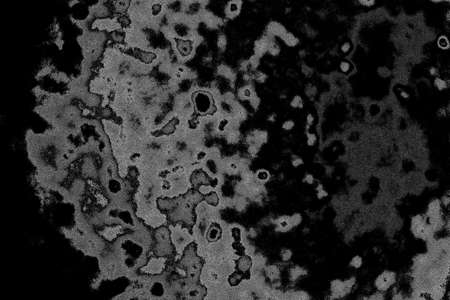 Abstract background. Monochrome texture. Image includes a effect the black and white tones.