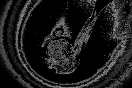 Abstract background. Monochrome texture. Image includes a effect the black and white tones.