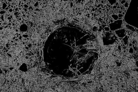 Abstract background. Monochrome texture. Image includes a effect the black and white tones.