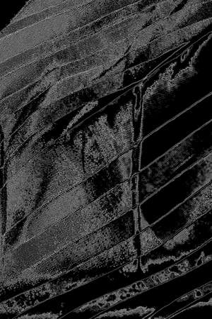 Abstract background. Monochrome texture. Image includes a effect the black and white tones.