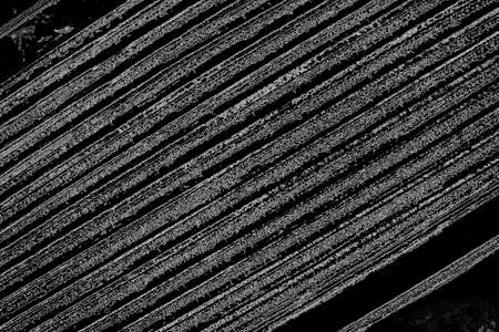 Abstract background. Monochrome texture. Image includes a effect the black and white tones.の写真素材