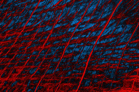 Abstract background. Multi-colored texture illustration.の写真素材