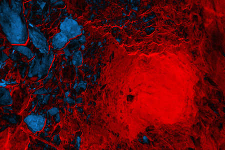 Abstract background. Multi-colored texture illustration.の写真素材