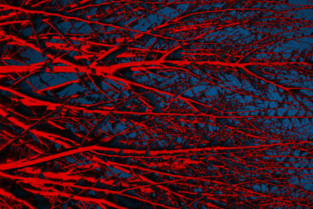 Abstract background. Multi-colored texture illustration.の写真素材