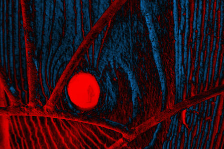 Abstract background. Multi-colored texture illustration.の写真素材