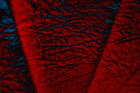 Abstract background. Multi-colored texture illustration.の写真素材