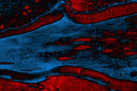 Abstract background. Multi-colored texture illustration.の写真素材