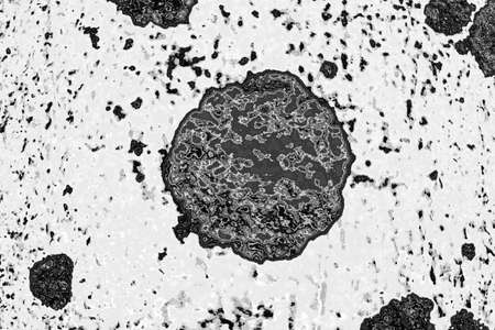 Abstract background. Monochrome texture. Image includes a effect the black and white tones.