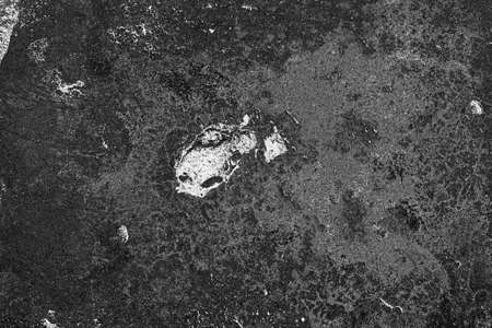 Abstract background. Monochrome texture. Image includes a effect the black and white tones.