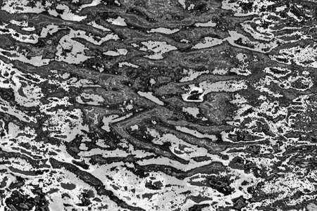 Abstract background. Monochrome texture. Image includes a effect the black and white tones.