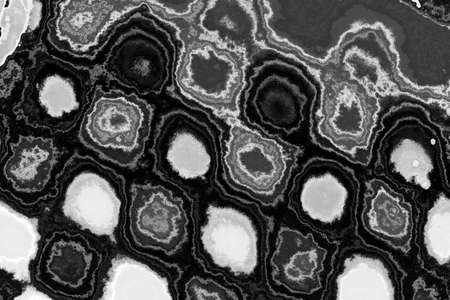 Abstract background. Monochrome texture. Image includes a effect the black and white tones.