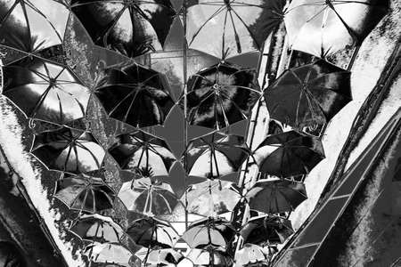 Abstract background. Monochrome texture. Image includes a effect the black and white tones.
