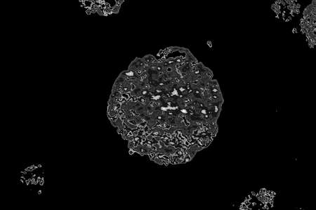 Abstract background. Monochrome texture. Image includes a effect the black and white tones.