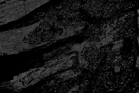 Abstract background. Monochrome texture. Image includes a effect the black and white tones.の写真素材