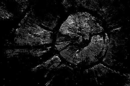 Abstract background. Monochrome texture. Image includes a effect the black and white tones.の写真素材