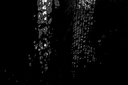 Abstract background. Monochrome texture. Image includes a effect the black and white tones.