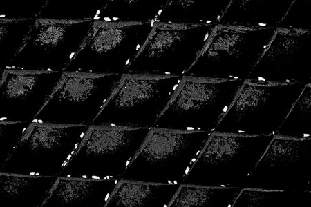 Abstract background. Monochrome texture. Image includes a effect the black and white tones.