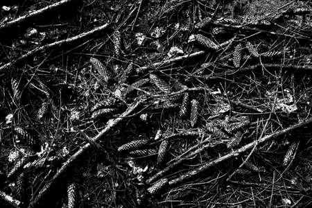 Abstract background. Monochrome texture. Image includes a effect the black and white tones.の写真素材