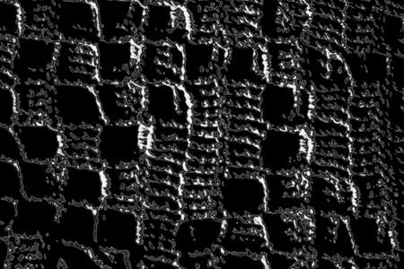 Abstract background. Monochrome texture. Image includes a effect the black and white tones.