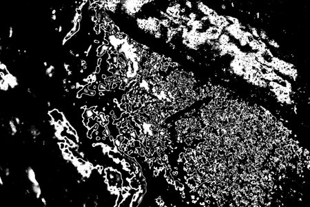 Abstract background. Monochrome texture. Image includes a effect the black and white tones.
