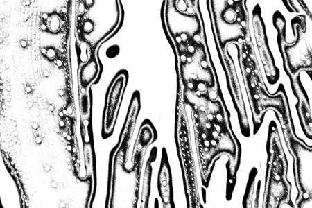 Abstract background. Monochrome texture. Image includes a effect the black and white tones.