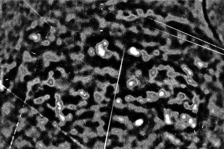 Abstract background. Monochrome texture. Image includes a effect the black and white tones.