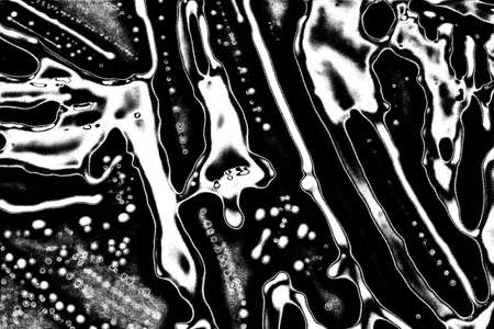 Abstract background. Monochrome texture. Image includes a effect the black and white tones.